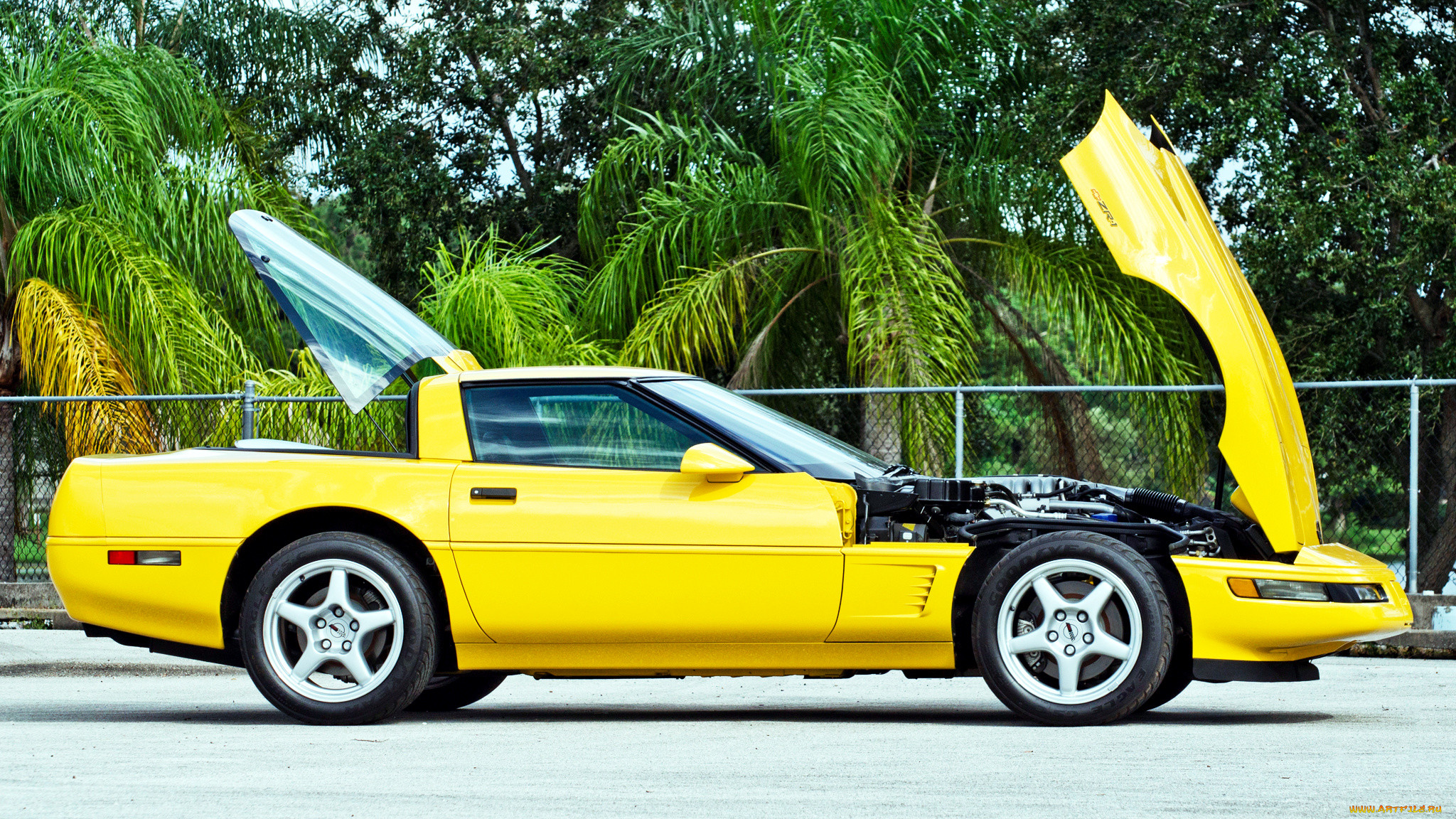 chevrolet corvette, , corvette, general, , chevrolet, , motors
